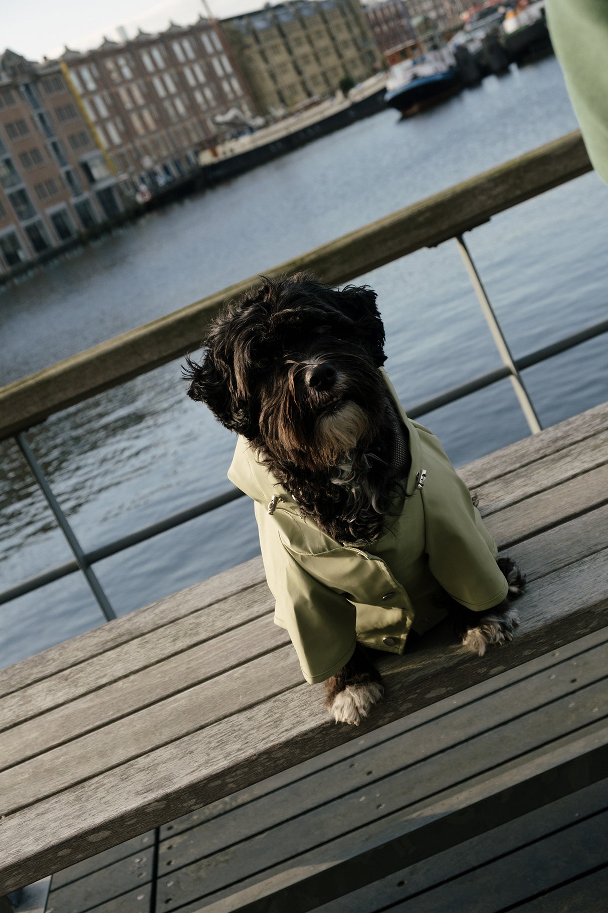 Köpek Yağmurluk - Yeşil