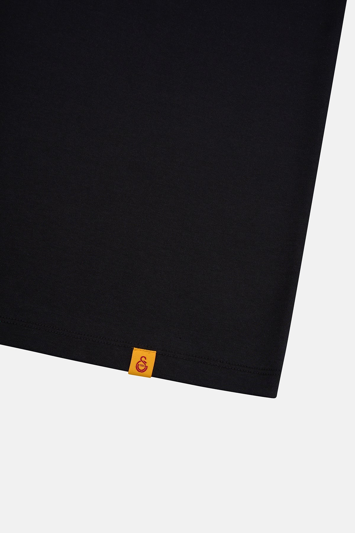 Aslan Premium T-shirt - Siyah