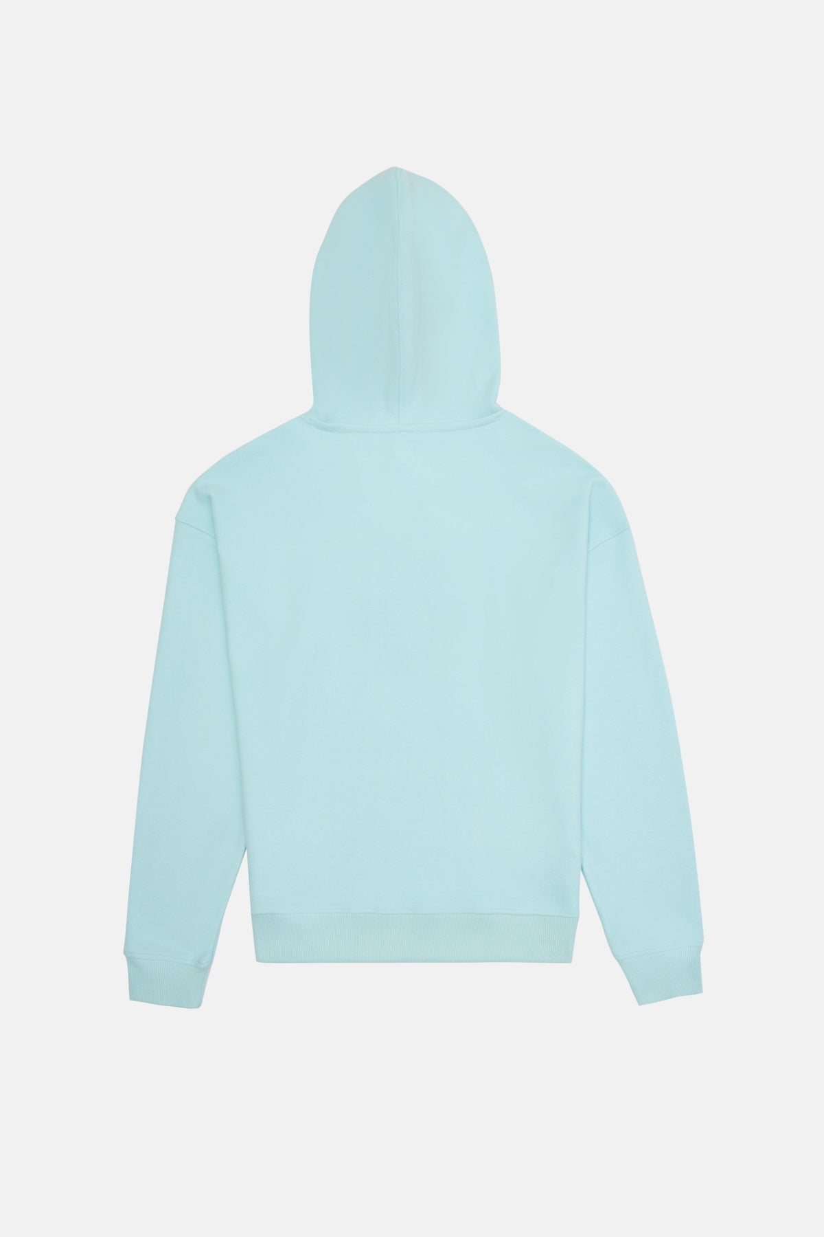 Palyaço Balığı SuperSoft Hoodie - Mint Mavi