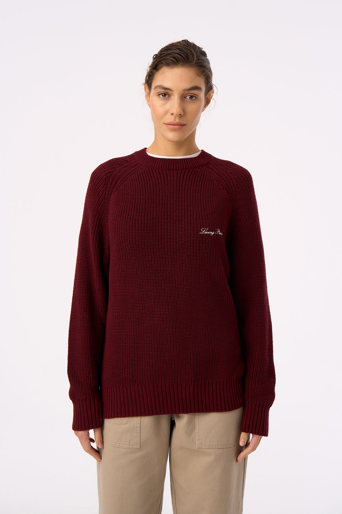 Living Planet Bisiklet Yaka Triko Sweater - Bordo