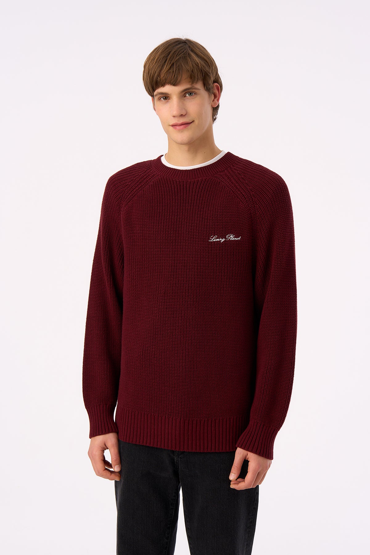 Living Planet Bisiklet Yaka Triko Sweater - Bordo