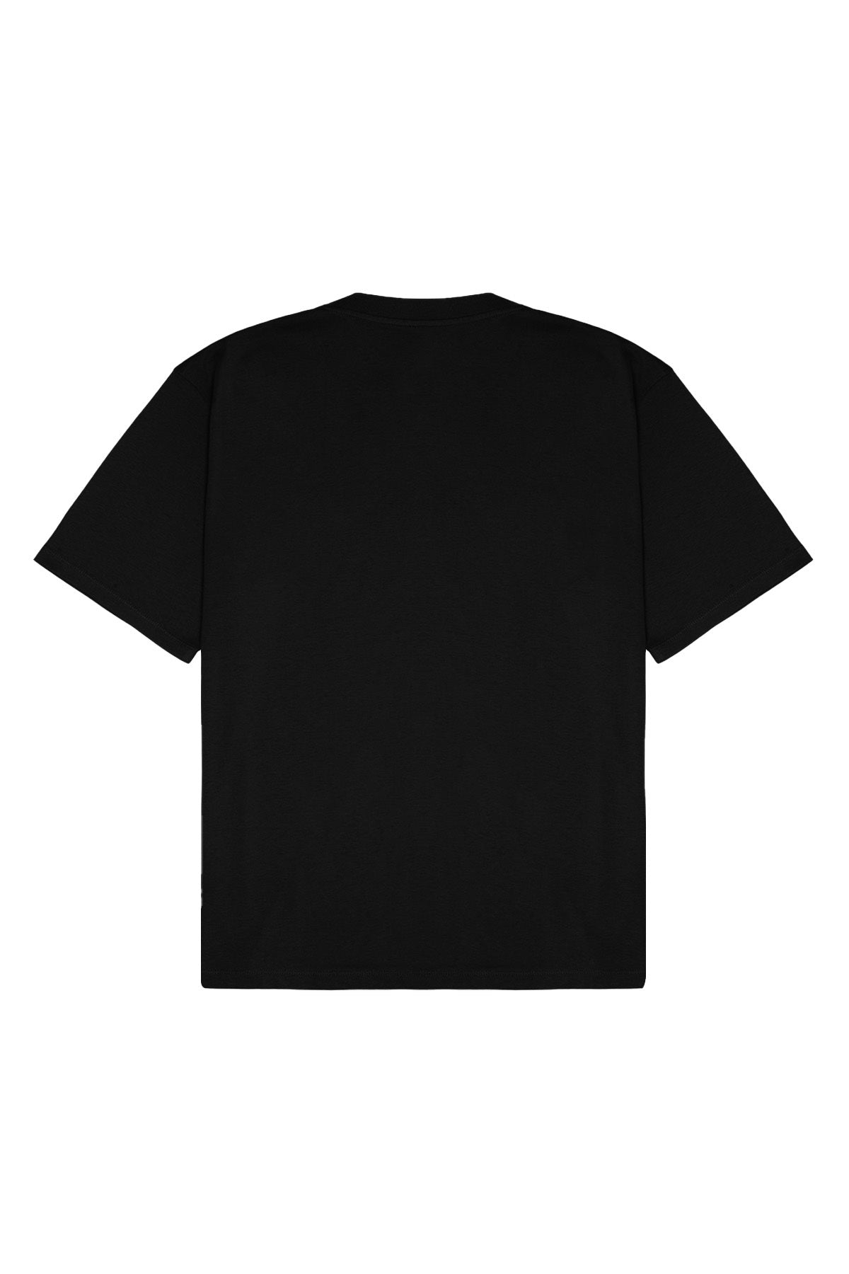 Aslan Lightweight T-Shirt - Siyah