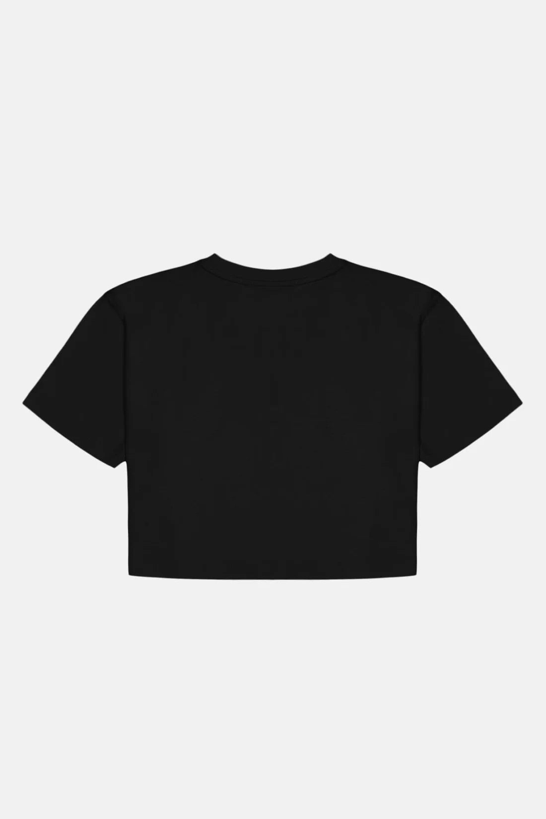 Yalıçapkını Lightweight Crop T-Shirt - Siyah