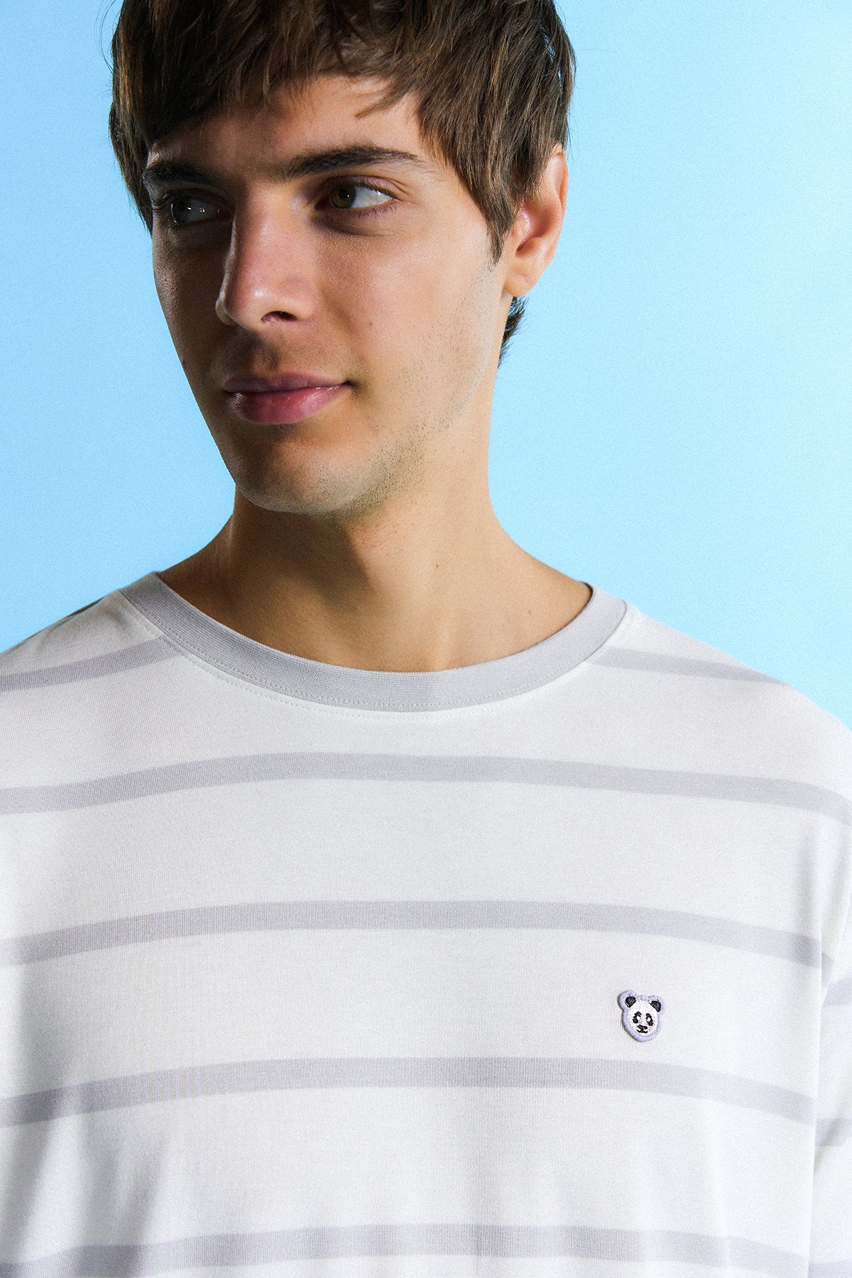 Panda Çizgili T-Shirt - Gri/Bej