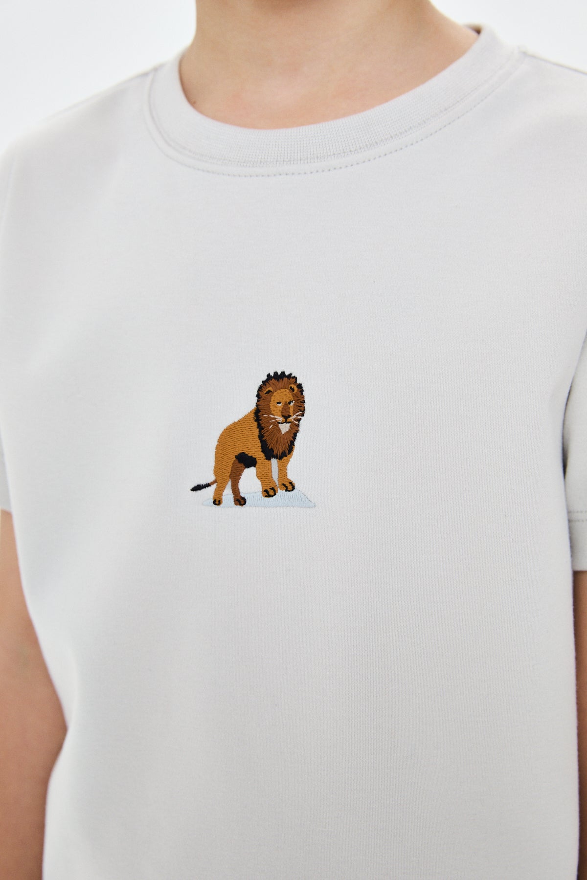 Aslan Premium Çocuk T-Shirt - Açık Gri