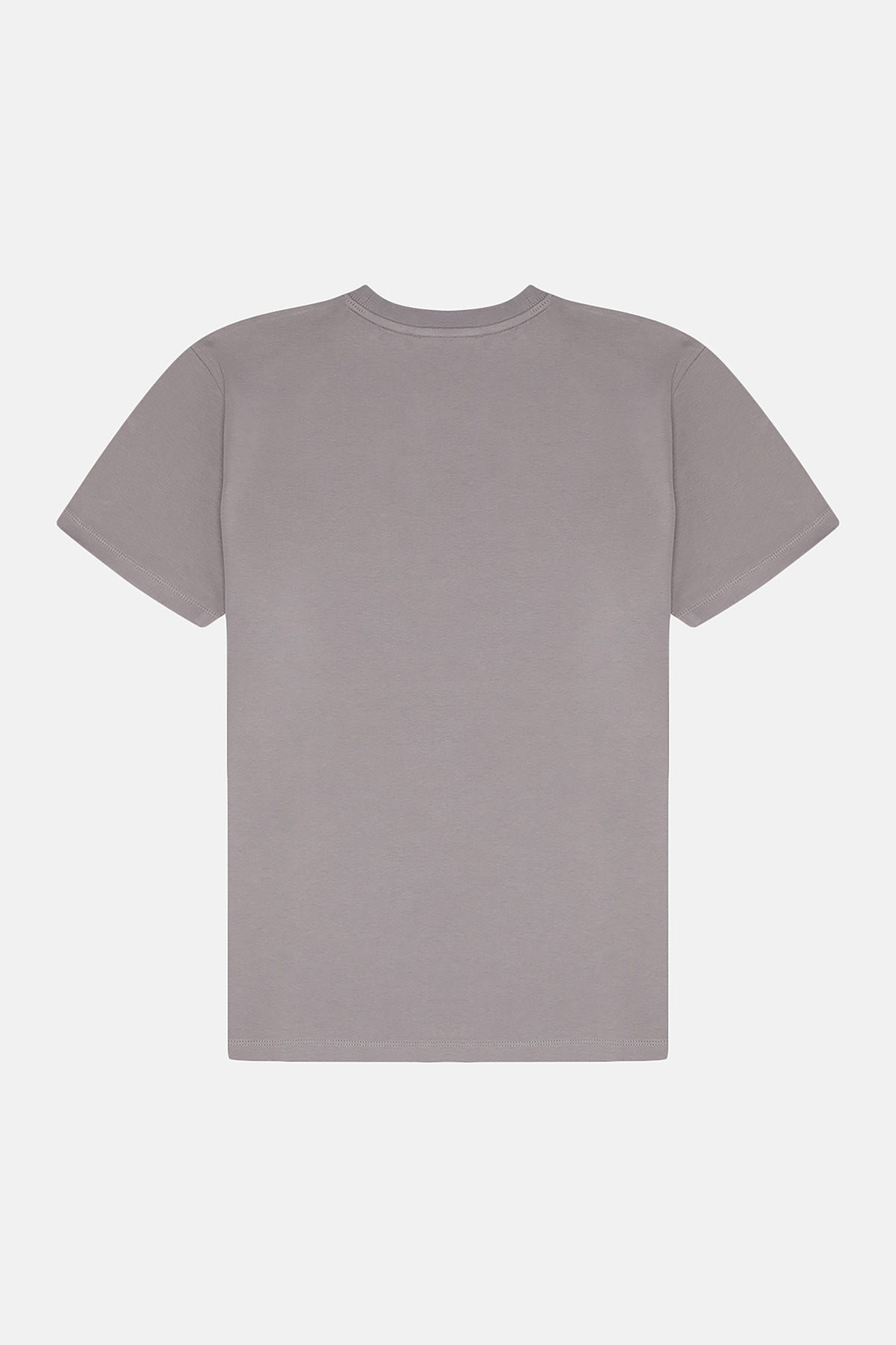 Socrates Logo Premium T-Shirt - Gri