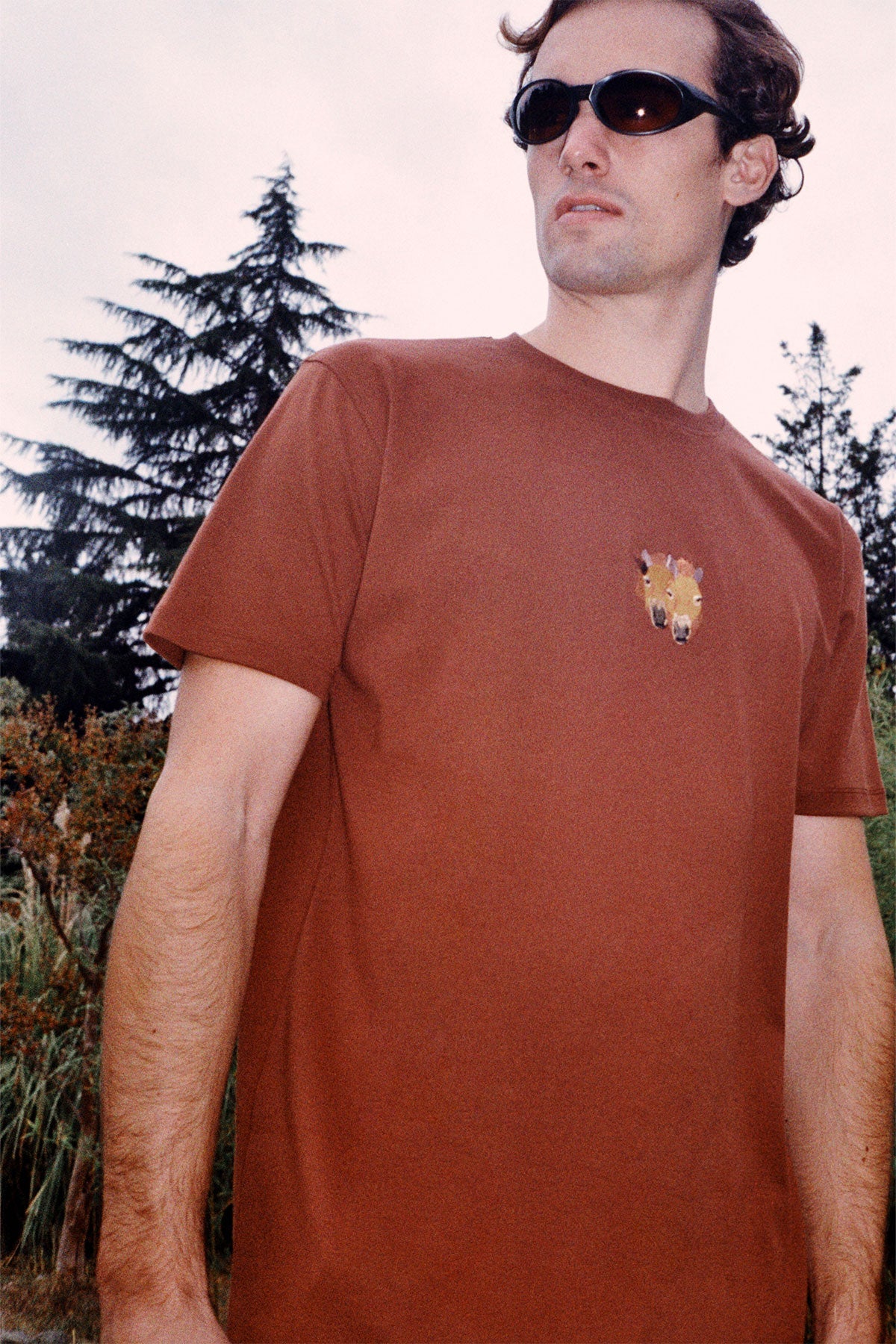 Przewalski Atı Premium T-shirt - Kahverengi