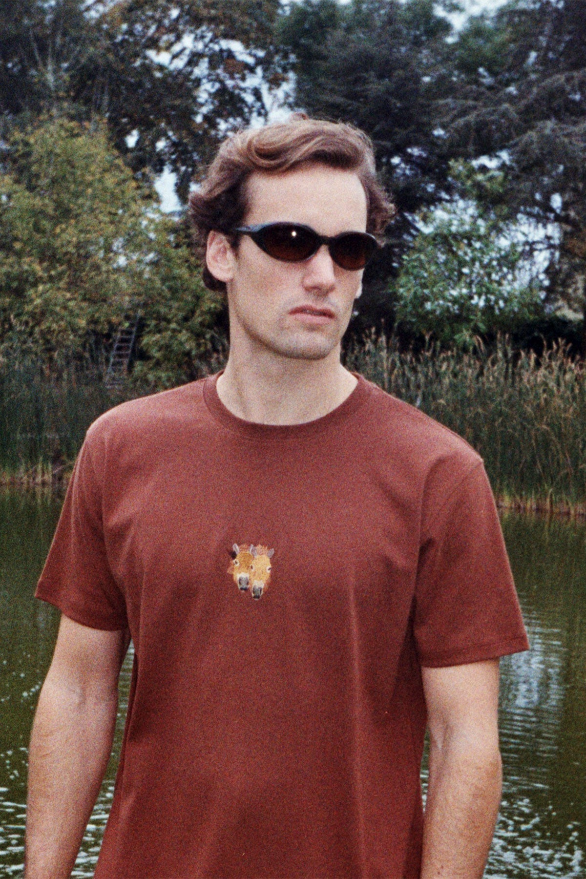 Przewalski Atı Premium T-shirt - Kahverengi