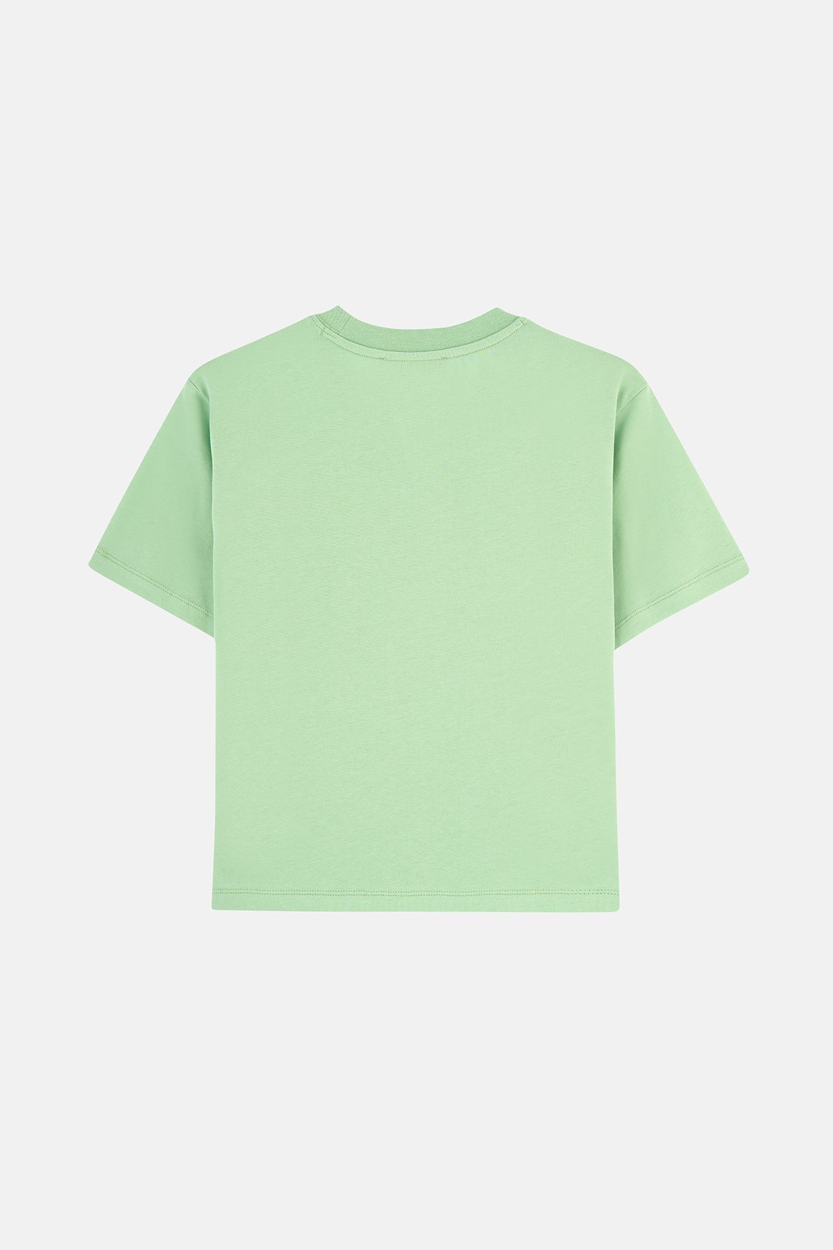 Koala Lightweight Kadın T-Shirt - Açık Yeşil