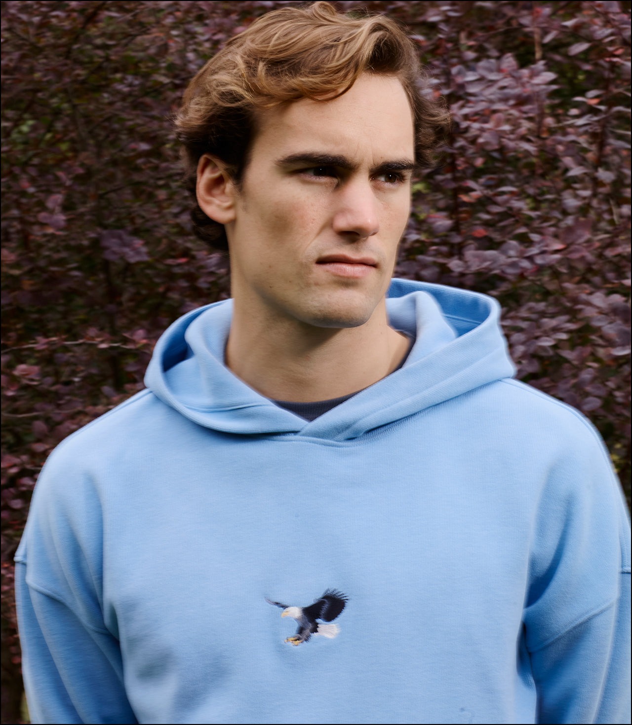 SuperSoft Serisi