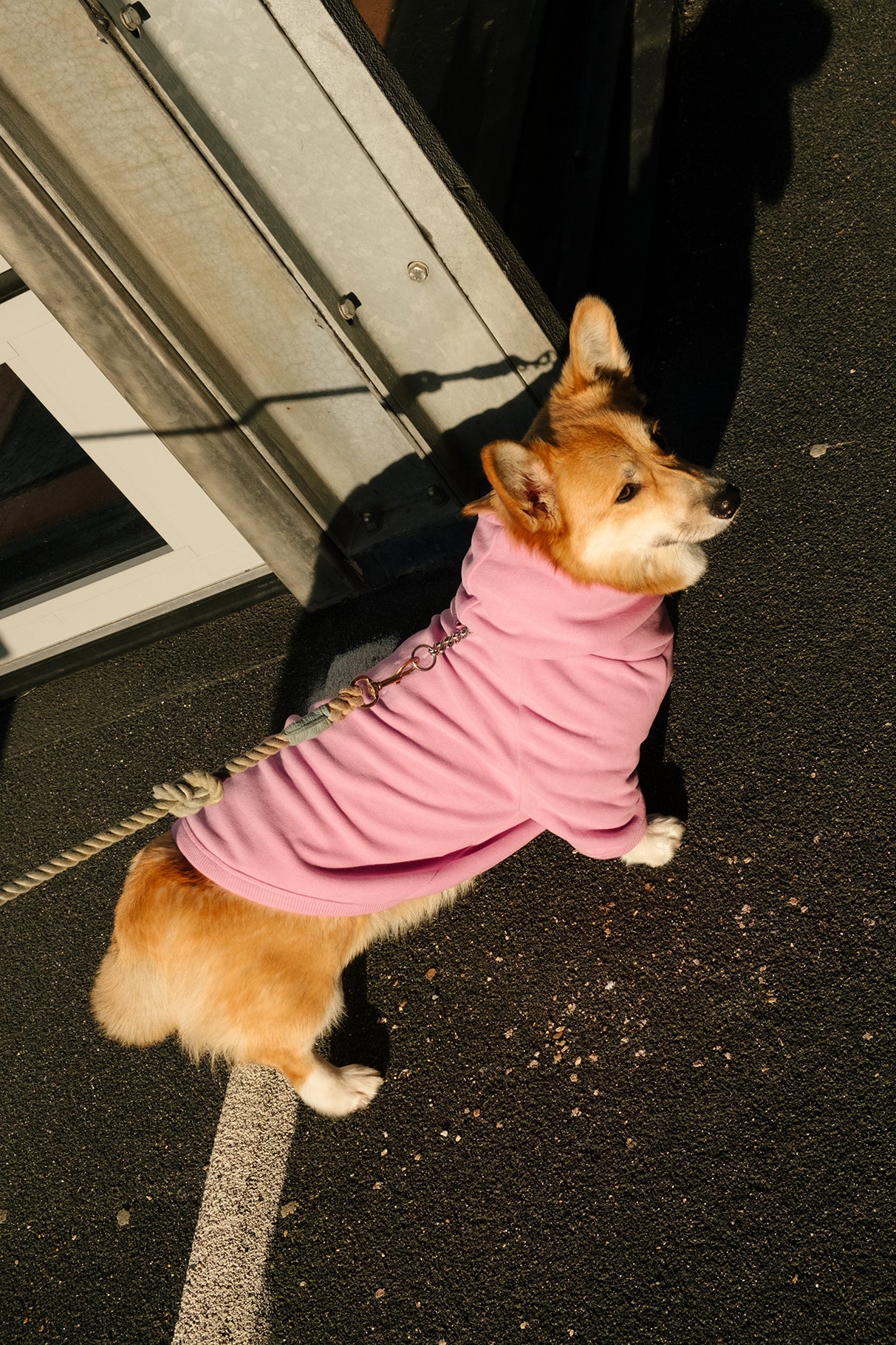 Life is Better With Me SuperSoft Köpek Hoodie - Pembe