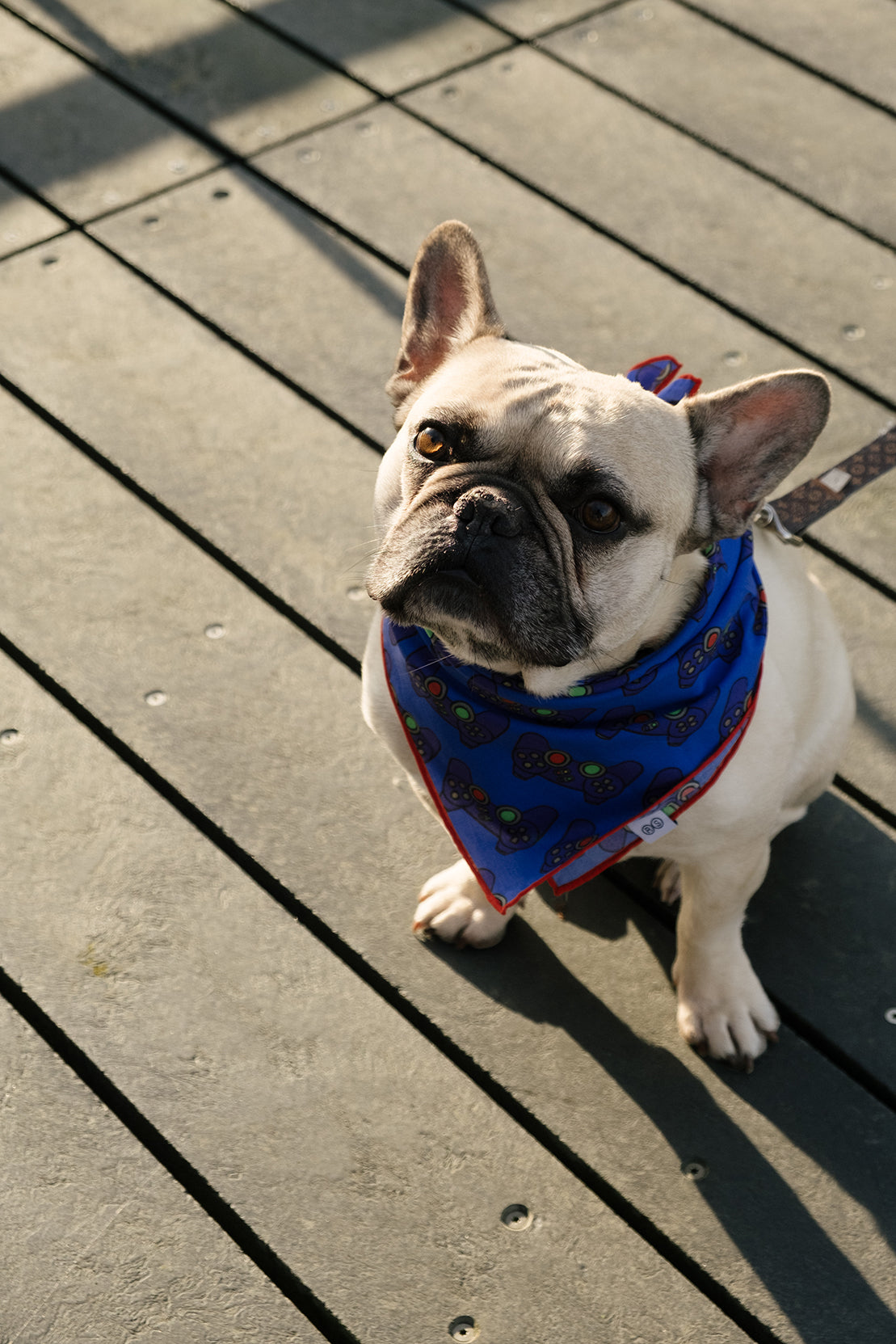 Gamer Köpek Bandana - Mavi