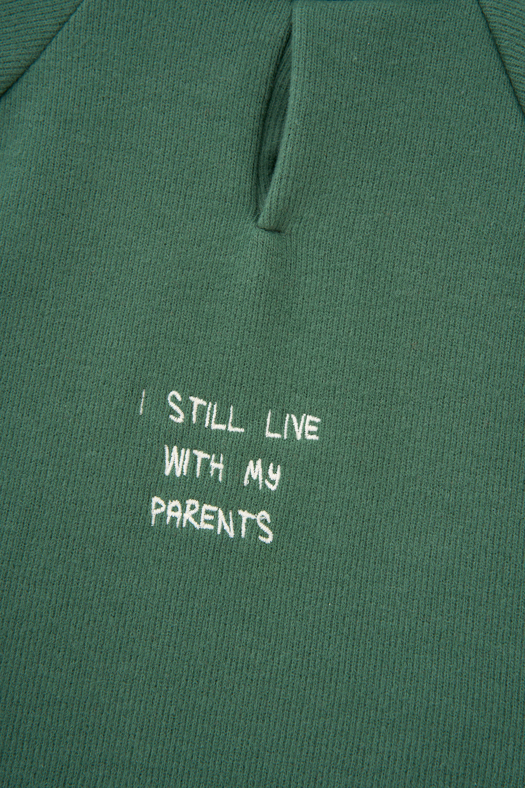 I Still Live With My Parents SuperSoft Köpek Hoodie - Yeşil