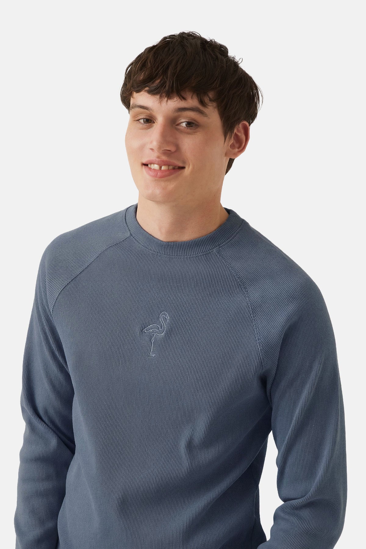 Flamingo Fitilli Sweatshirt - Flint Mavi