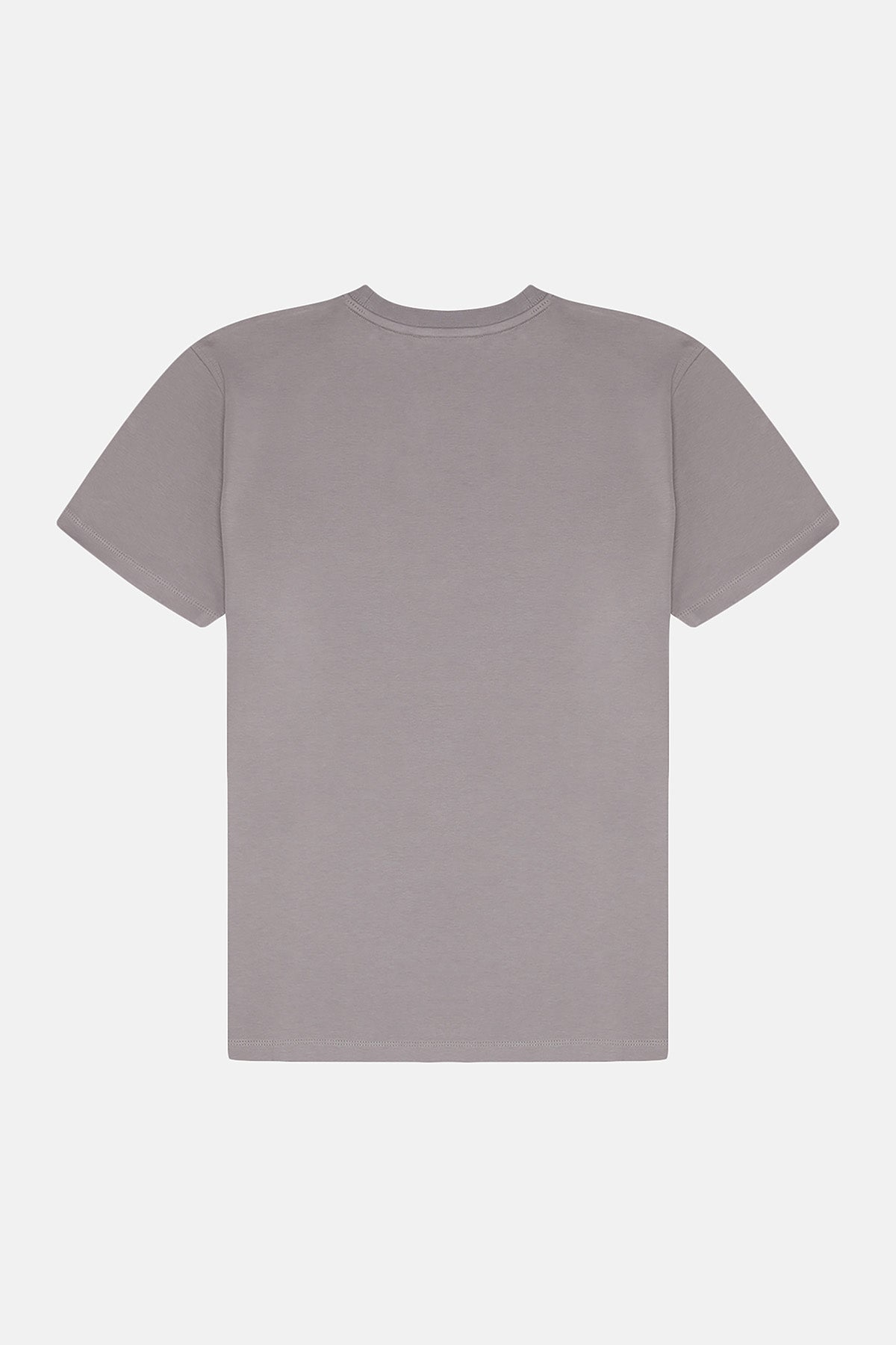 Socrates Logo Premium T-Shirt - Gri