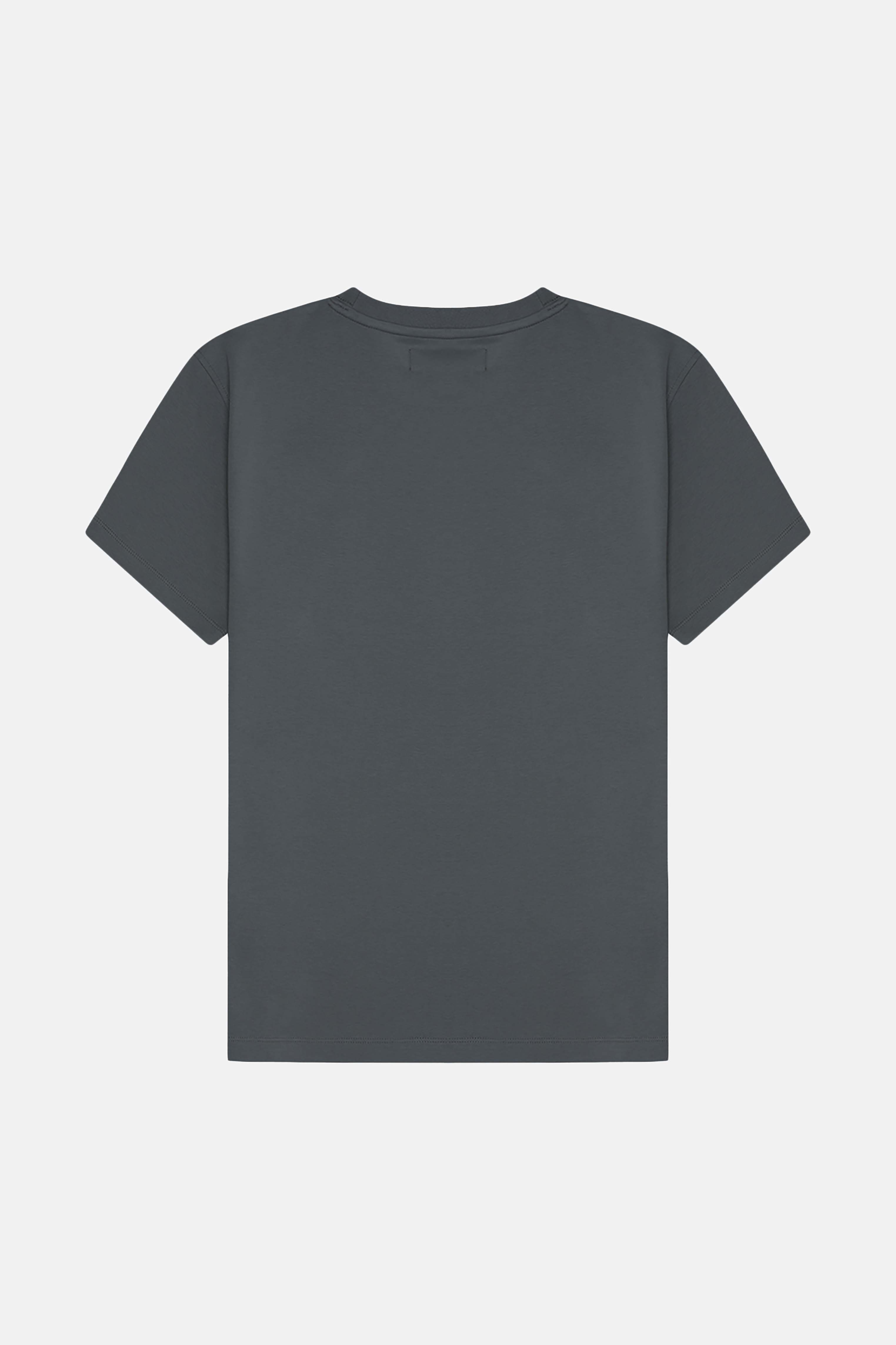 İmparator Penguen Premium T-shirt - Antrasit