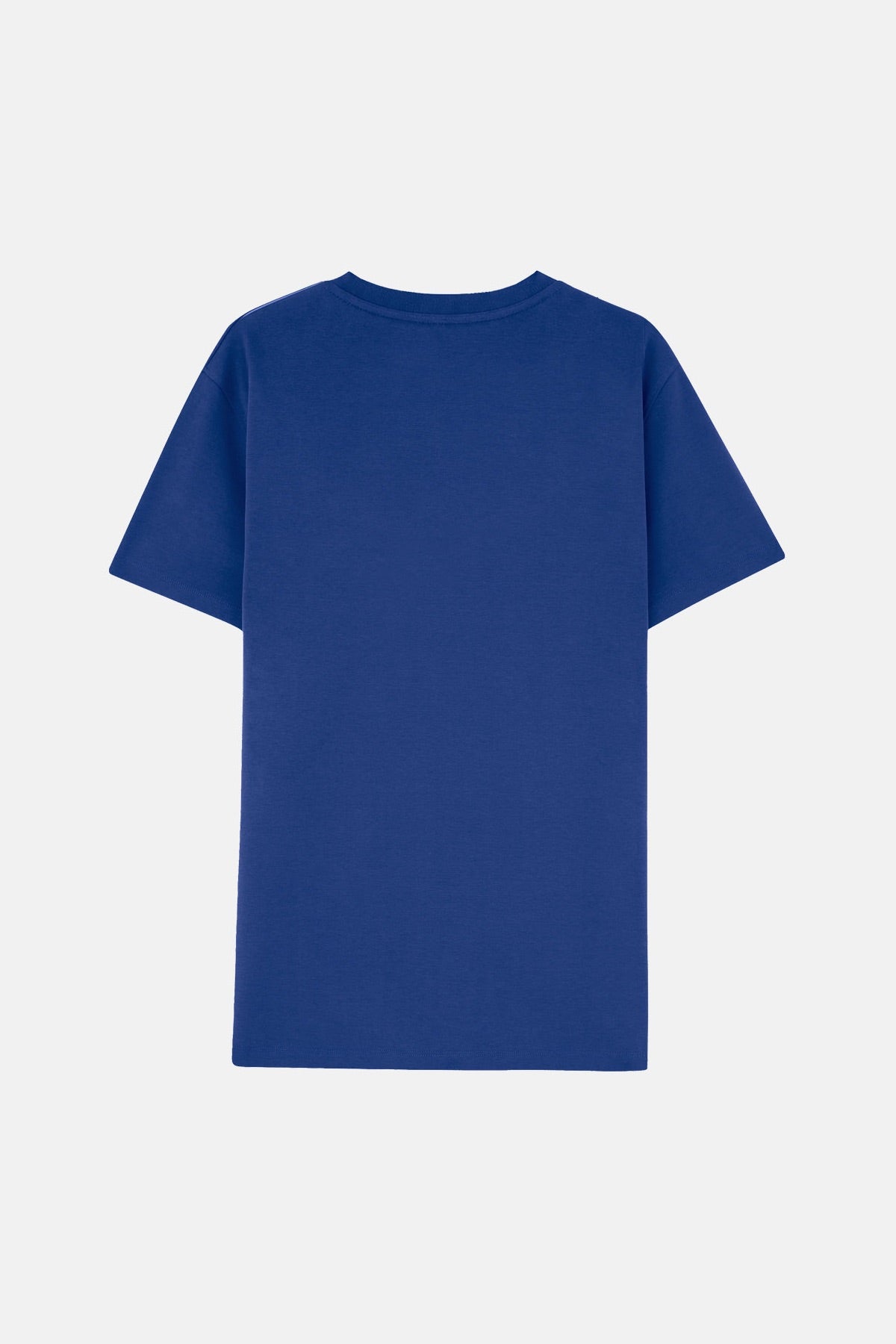 Basic Premium T-Shirt - Saks Mavi