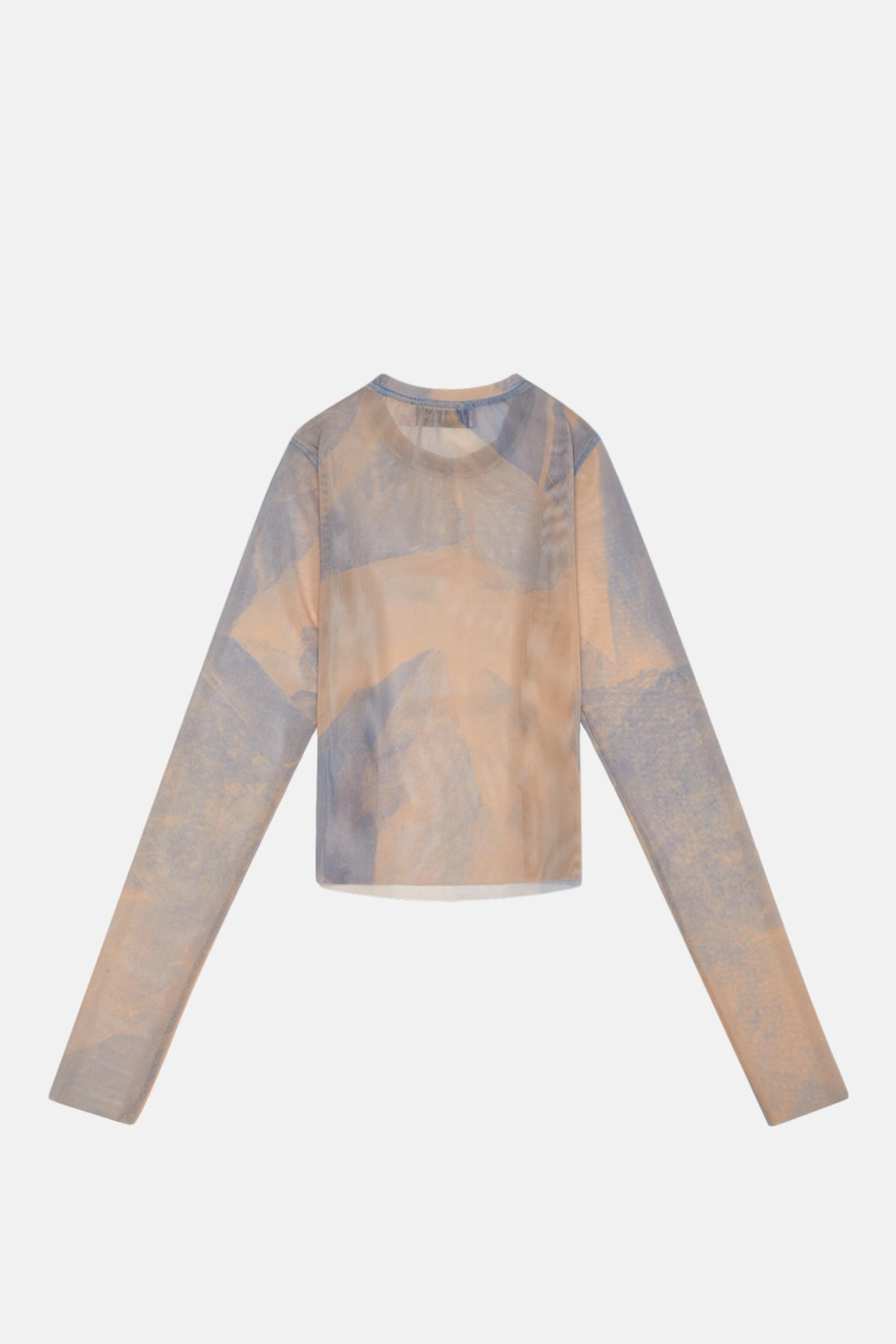 Long Sleeve Mesh Top - Dusty