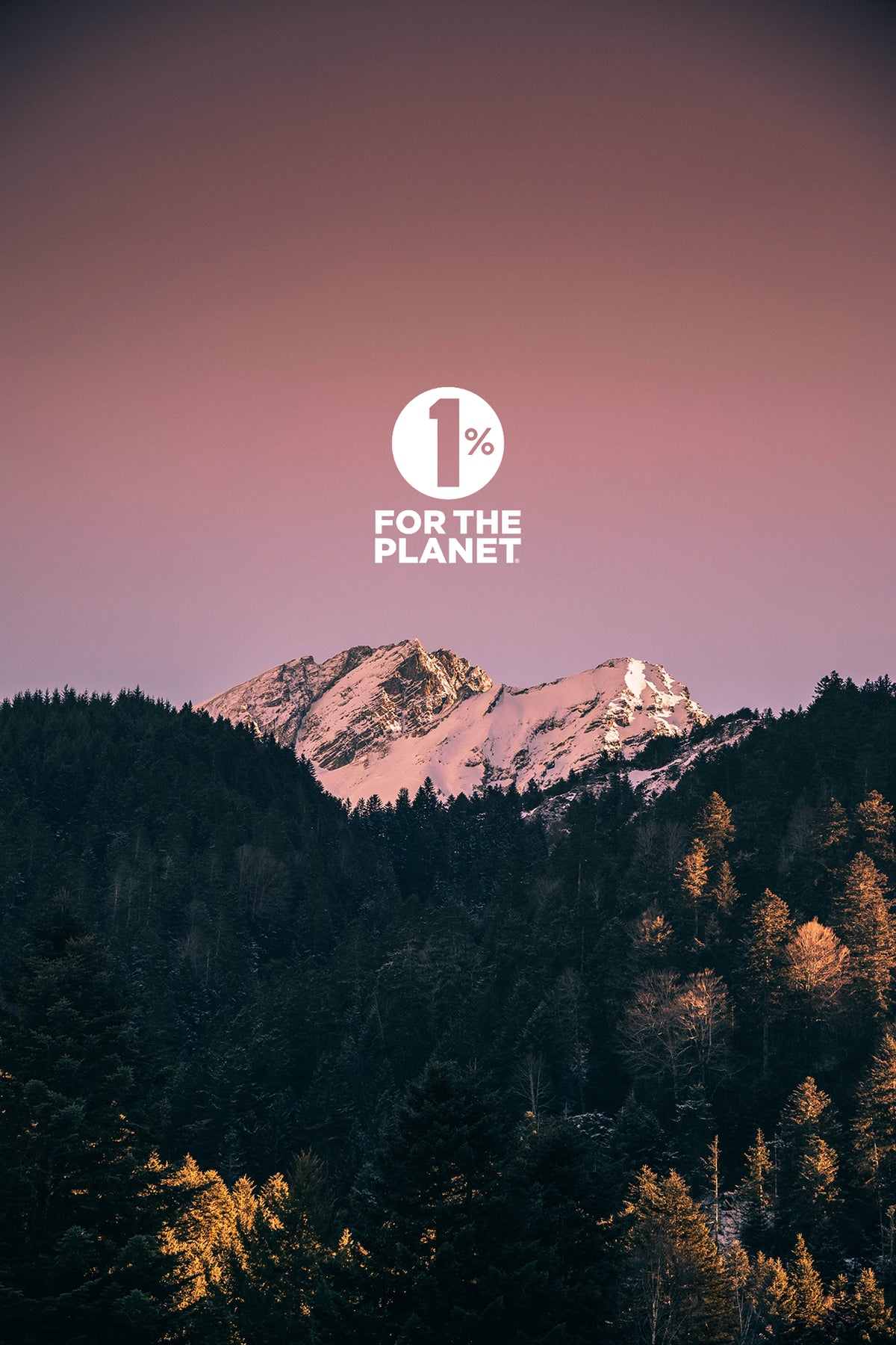 files/pov-1forplanet-banner-m.jpg