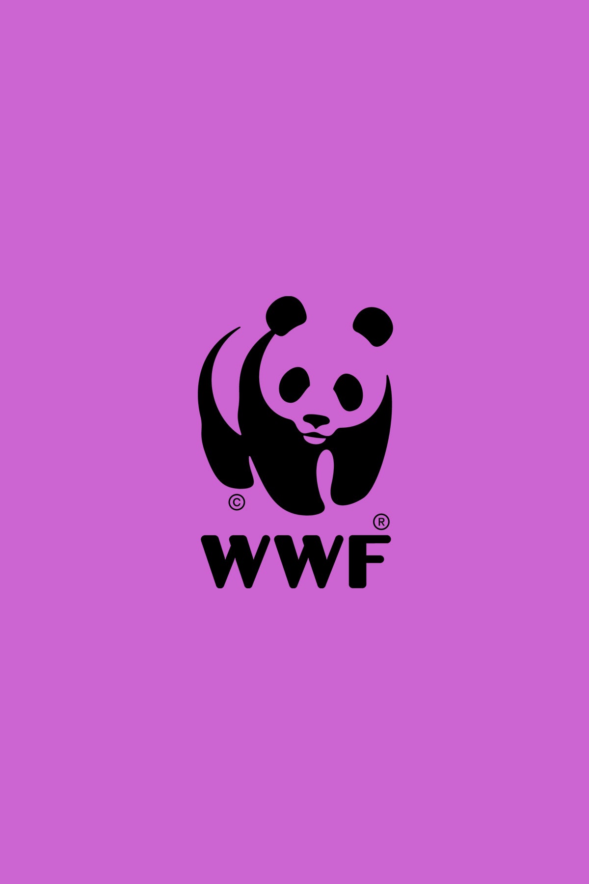 WWF Market - İmparator Penguen Hediye Seti