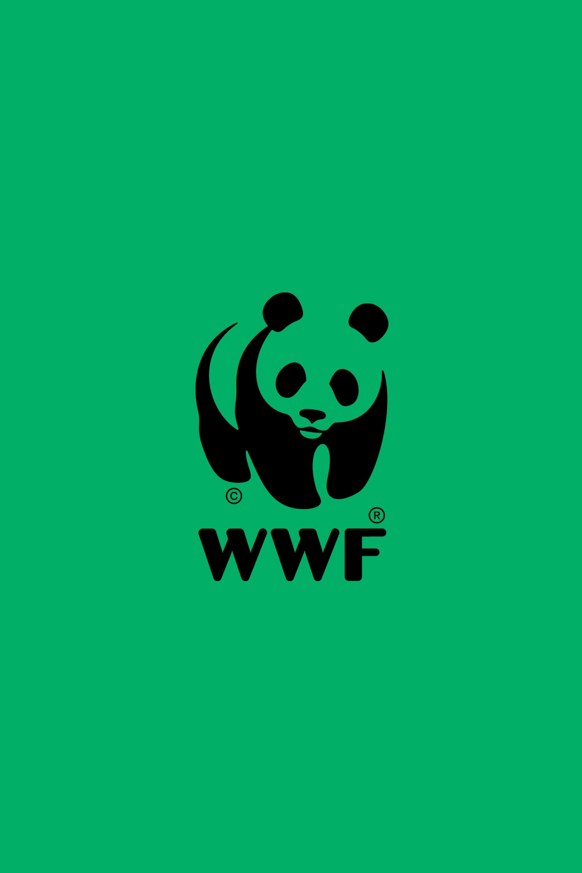 WWF Market - Kartal Hediye Seti